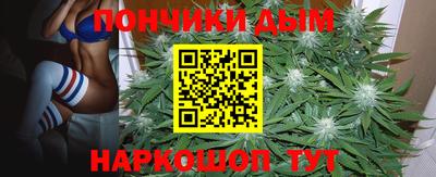 стаф Магадан