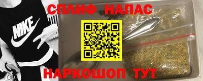 ешки Майкоп
