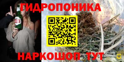ешки Майкоп