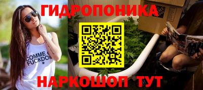 стаф Магадан