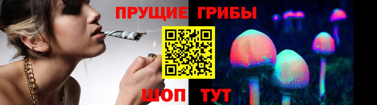 Псилоцибиновые грибы Psilocybine cubensis  Вход с VPN  Кузнецк 